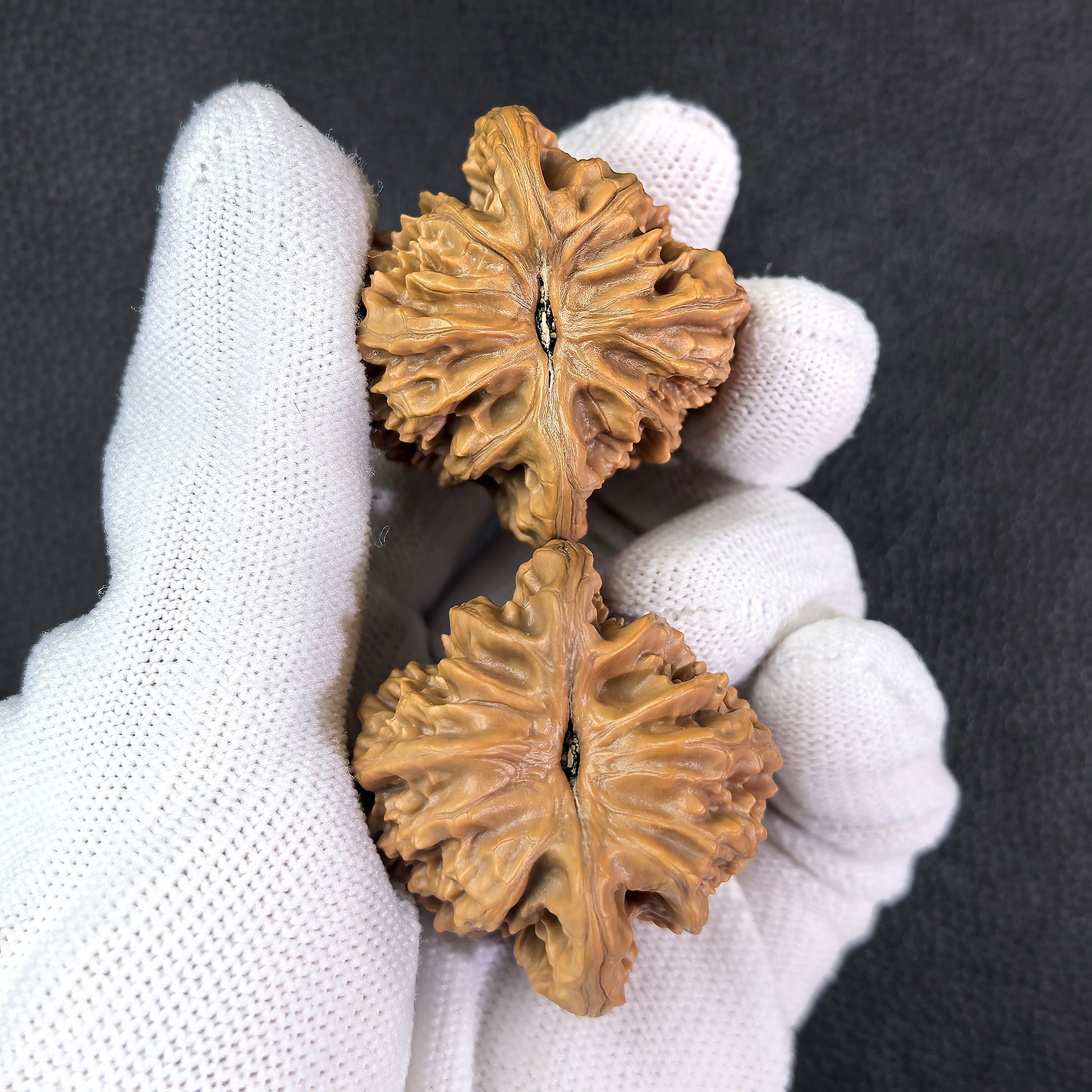 The "Xia Yun Ling" Lion Head Pair | 40.0mm x 37.0mm | XYL-402 - ThePatinaProject