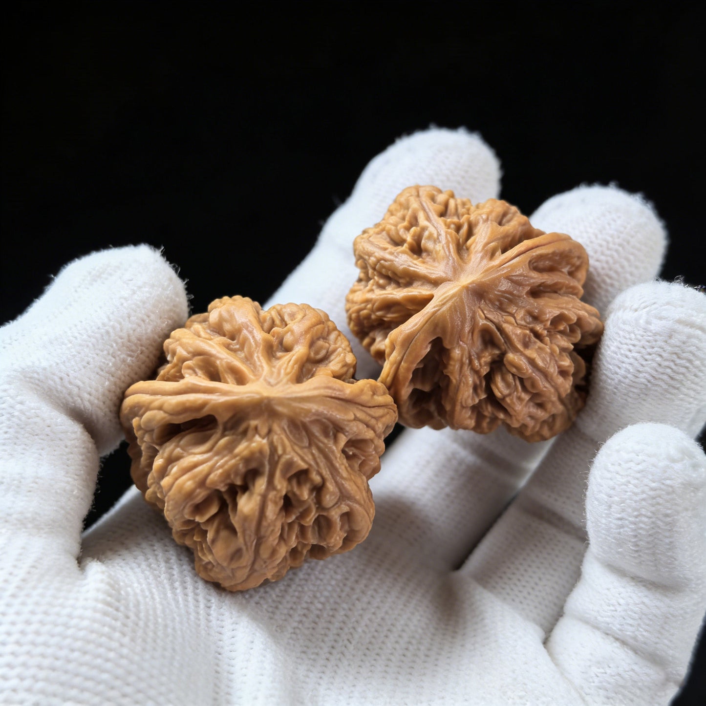 The "Xiao Xiao Cujin" (Fine Rugged Veins) Pair | 34.0mm x 38.0mm | Collector Grade - ThePatinaProject