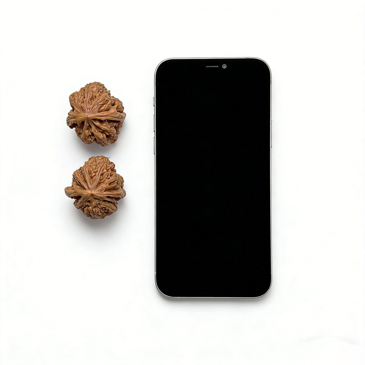 The "Xiao Xiao Cujin" (Fine Rugged Veins) Pair | 34.0mm x 38.0mm | Collector Grade - ThePatinaProject