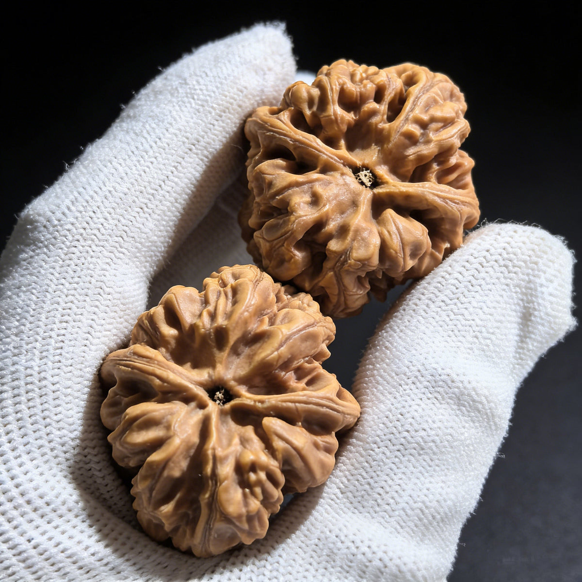 The "Xiao Xiao Cujin" (Fine Rugged Veins) Pair | 34.0mm x 38.0mm | Collector Grade - ThePatinaProject