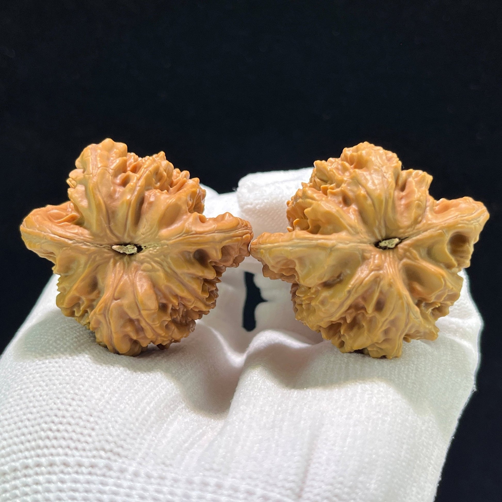 The "Xiayunling" (XYL) Heritage Deep-Belly Lion Head Pair | 42.0mm x 38.0mm | XYL-802 - ThePatinaProject