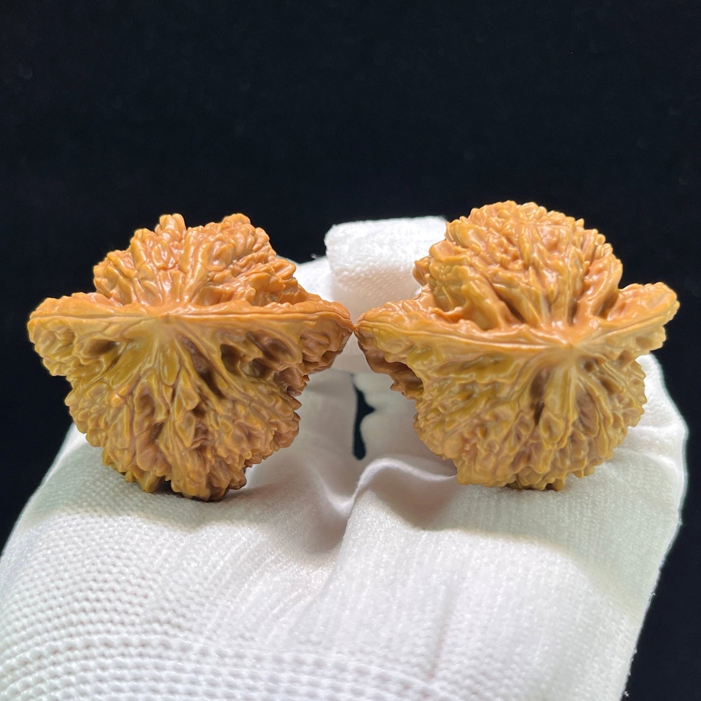 The "Xiayunling" (XYL) Heritage Deep-Belly Lion Head Pair | 42.0mm x 38.0mm | XYL-802 - ThePatinaProject