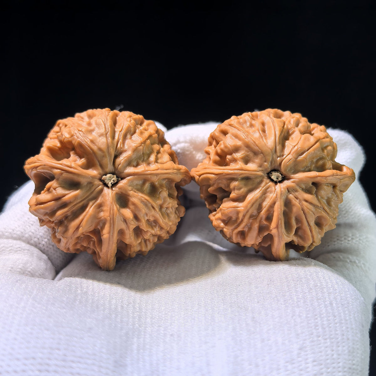 The "Yuhua Stone" Trident Three-Ridge Pair | 38.0mm x 37.0mm | YHSSN-1203E - ThePatinaProject