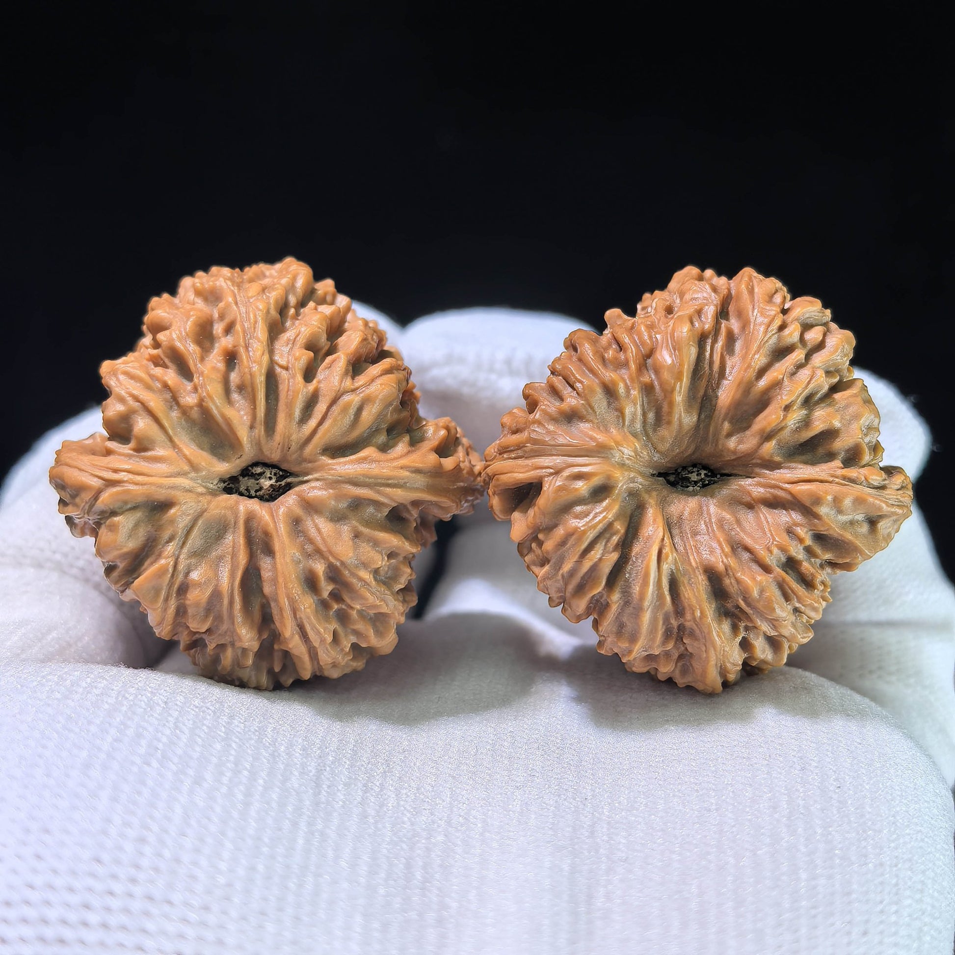 The "Zhu Lu" Nanjiang Stone Compact Plump EDC | 35.0mm x 36.0mm | NJS-1012 - ThePatinaProject