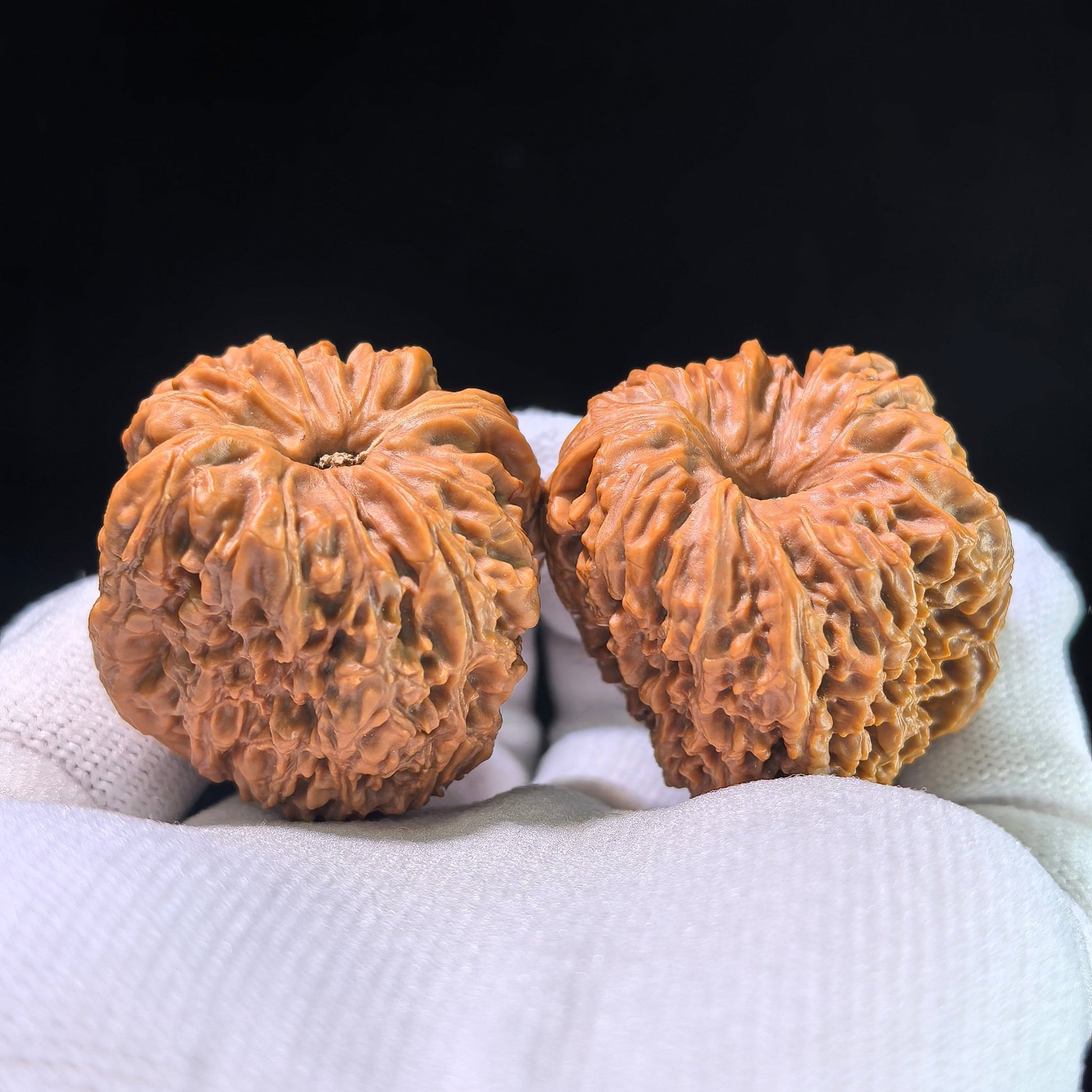 The "Zhu Lu" Nanjiang Stone Compact Plump EDC | 35.0mm x 36.0mm | NJS-1012 - ThePatinaProject
