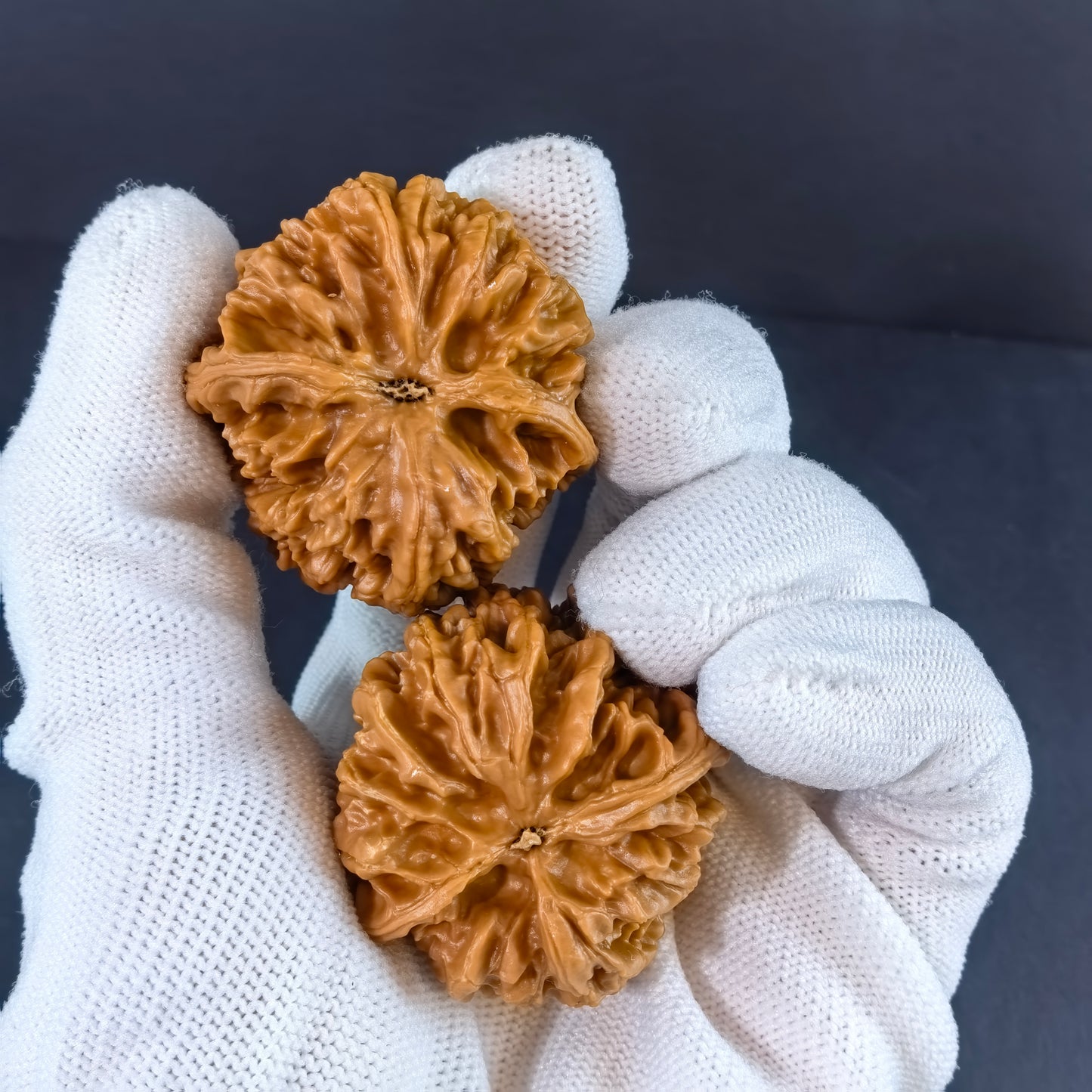 Pair of Walnut Nine Dragon Muscle Jiu Long Jin hand exercisers with 39mm deep ridges from ThePatinaProject.