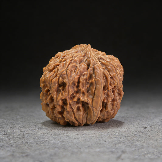 ThePatinaProject 137 single walnut hand exerciser, 37mm diameter, shows a smooth wooden walnut-shaped grip for hand strength training.