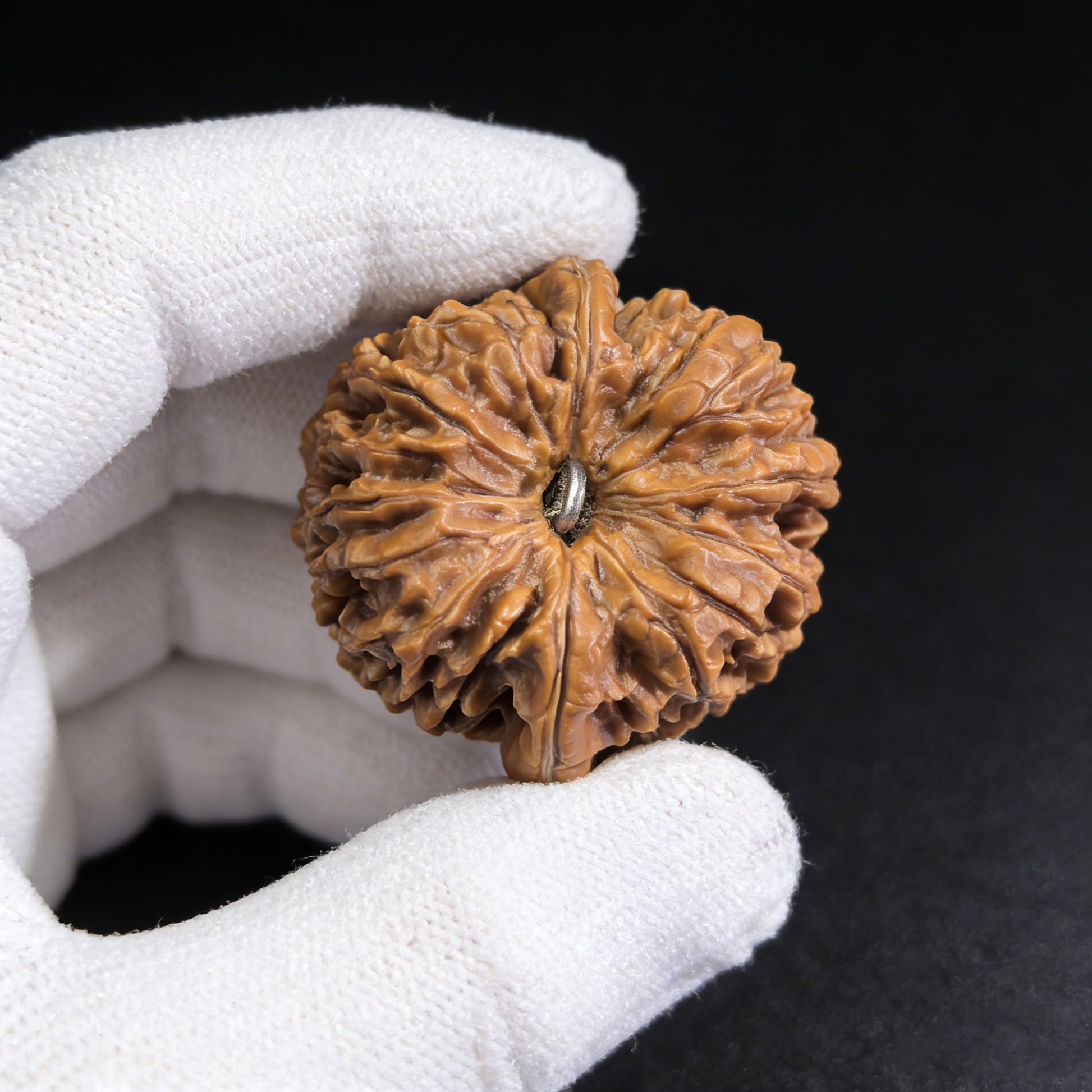 ThePatinaProject 137 single walnut hand exerciser, 37mm diameter, showing smooth wooden surface and ergonomic shape for grip.