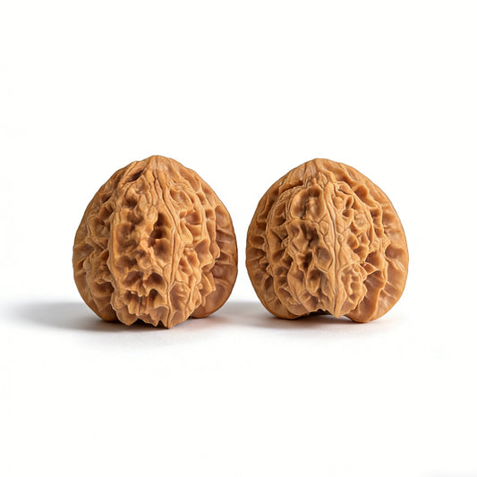 Pair of Walnut Lion Head hand exercisers with Apple Round design, 43mm x 40mm, by ThePatinaProject, featuring detailed carved lion heads.