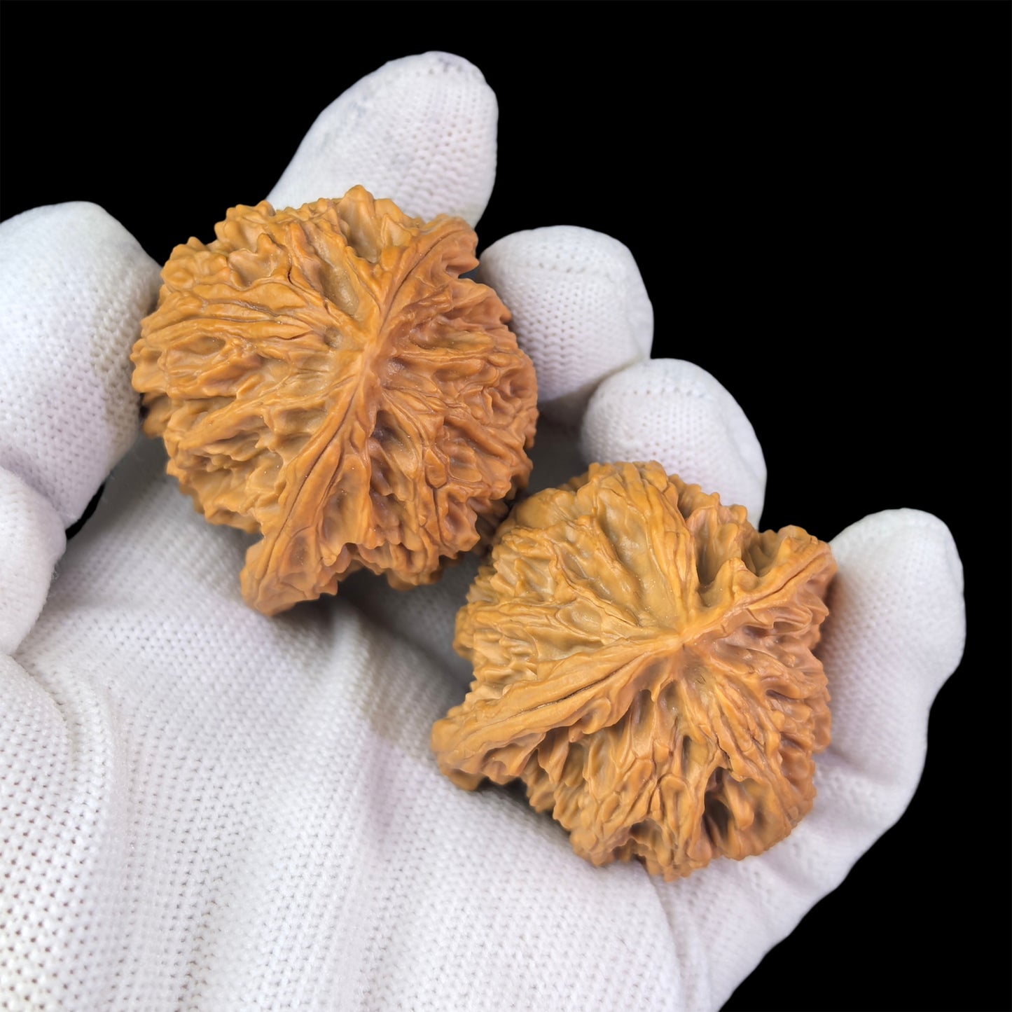 Pair of Walnut hand exercisers shaped like lion heads, 43mm, 40mm, from ThePatinaProject's Apple Round collection.