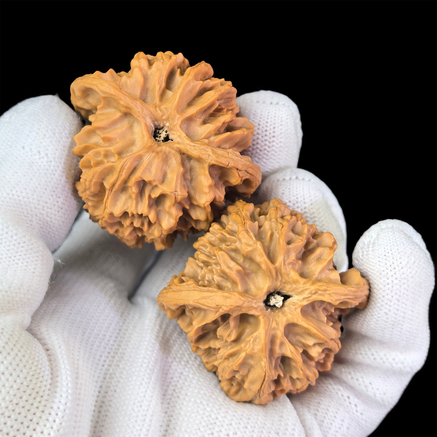 Pair of Walnut Hand Exercisers with lion head design, 43mm x 40mm, from ThePatinaProject, featuring detailed carved lion heads on each item.