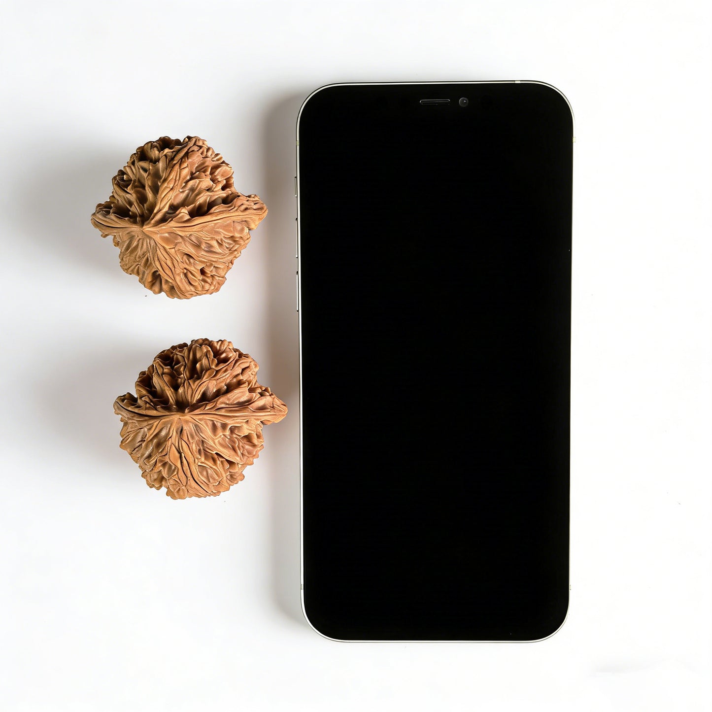 Pair of walnut hand exercisers featuring lion head design, 43mm x 40mm, from ThePatinaProject's Apple Round collection.