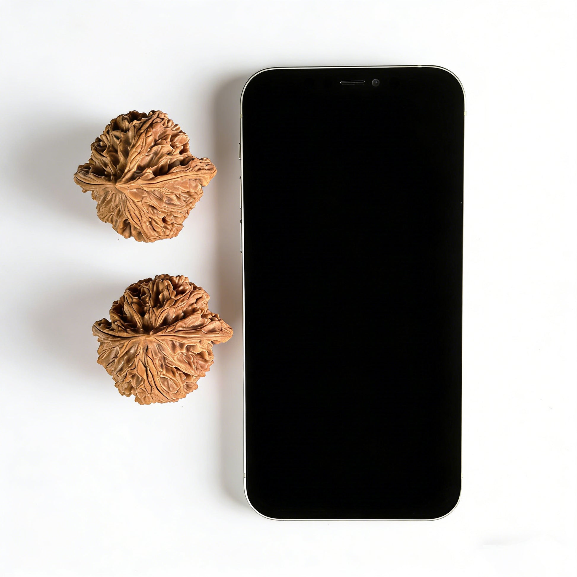 Pair of walnut hand exercisers featuring lion head design, 43mm x 40mm, from ThePatinaProject's Apple Round collection.