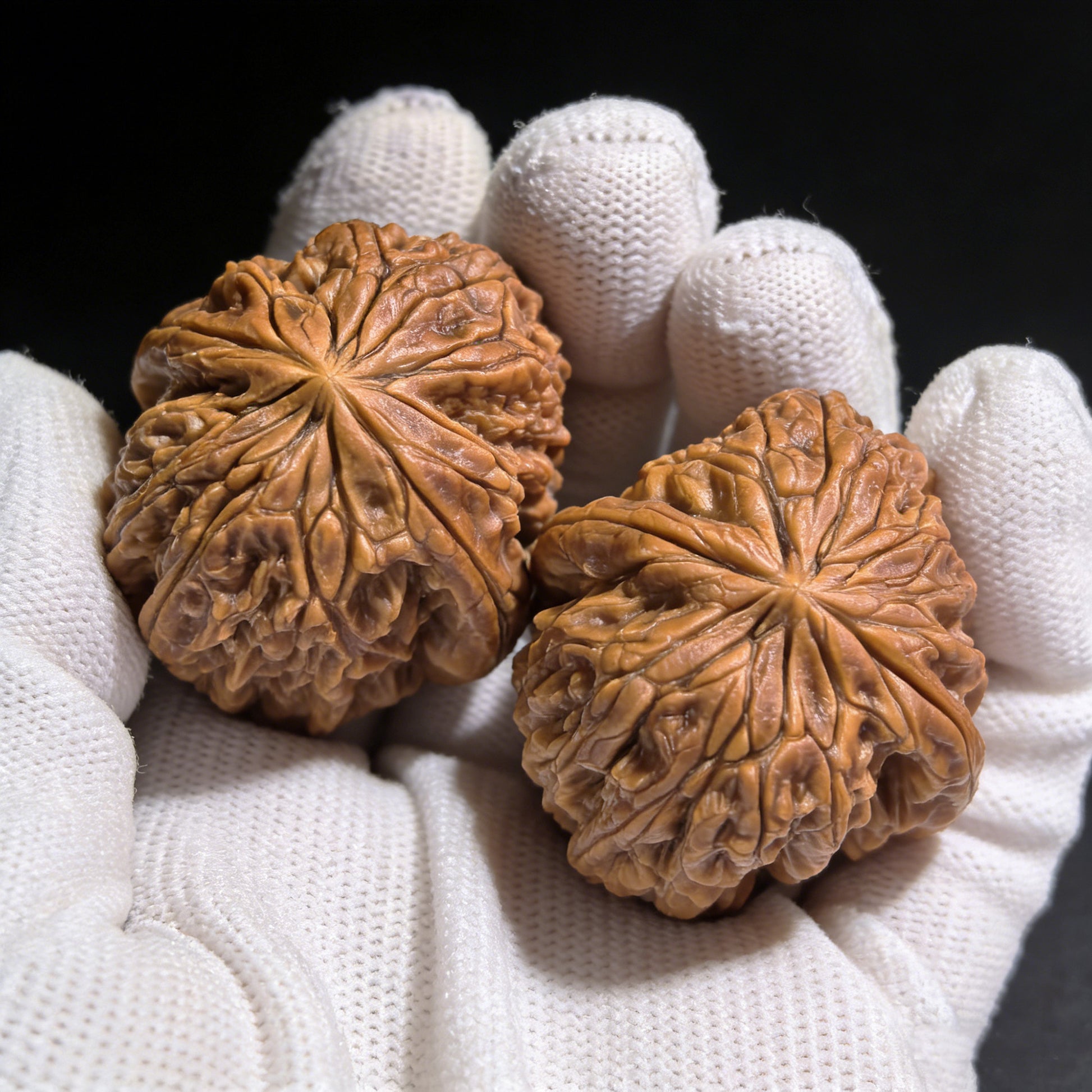 Walnut hand exerciser "Blizzard" (Bao Xue) pair by ThePatinaProject, 38mm x 41mm, with "Tian Can" mutation, shown in image.