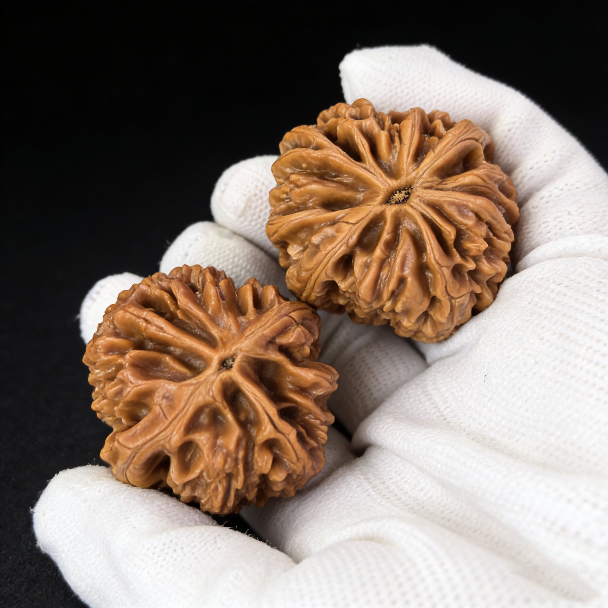Walnut hand exerciser "Blizzard" (Bao Xue) pair by ThePatinaProject, 38mm x 41mm, featuring Tian Can mutation design.
