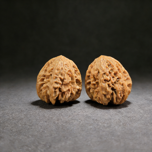 Walnut hand exerciser with lion head design, "Blizzard" Bao Xue pair, 40mm intense texture, ThePatinaProject #BX-01, actual item shown