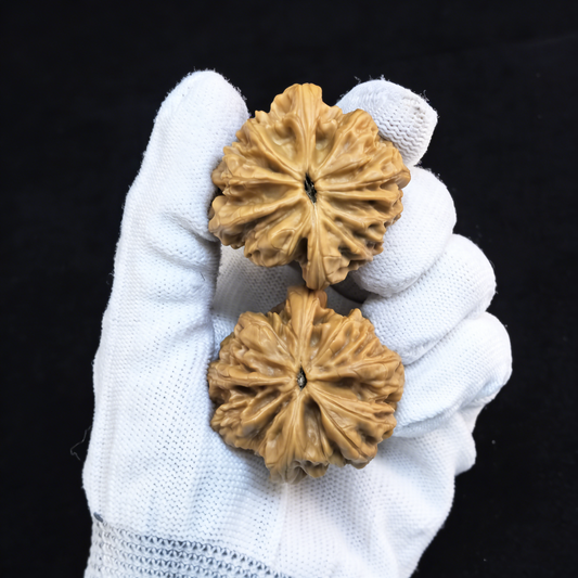 Pair of Walnut Hand Exercisers featuring the Blizzard Lion Head design from ThePatinaProject, 40mm textured walnut grips for hand strength.