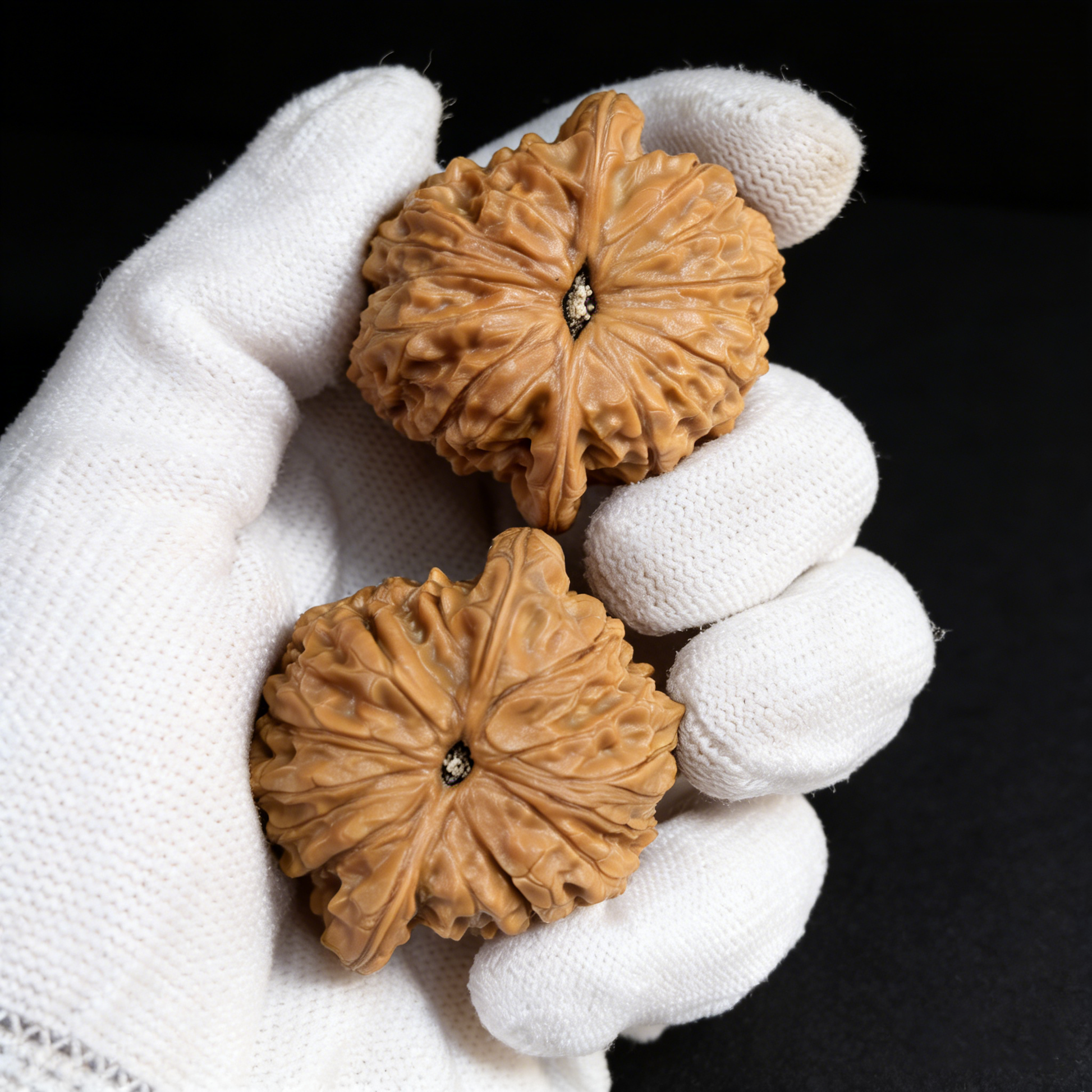 Walnut hand exerciser featuring Blood Kirin (Xue Qilin) design with thick edge and shredded texture, 43mm collector’s pair by ThePatinaProject.
