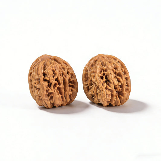 Walnut hand exerciser pair "Caterpillar" by ThePatinaProject, 34mm MMC-01, showing textured walnut grips for grip strengthening.