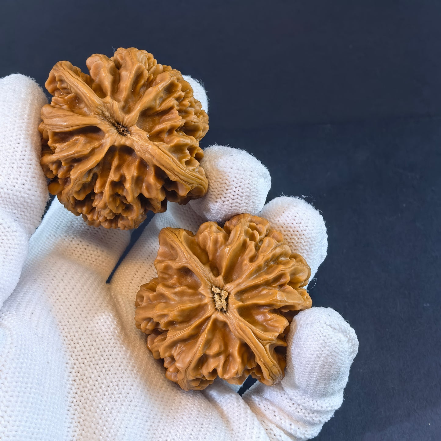 Pair of walnut hand exercisers called Champion's Crown from ThePatinaProject, 43mm premium collector's Zhuang Yuan Guan.