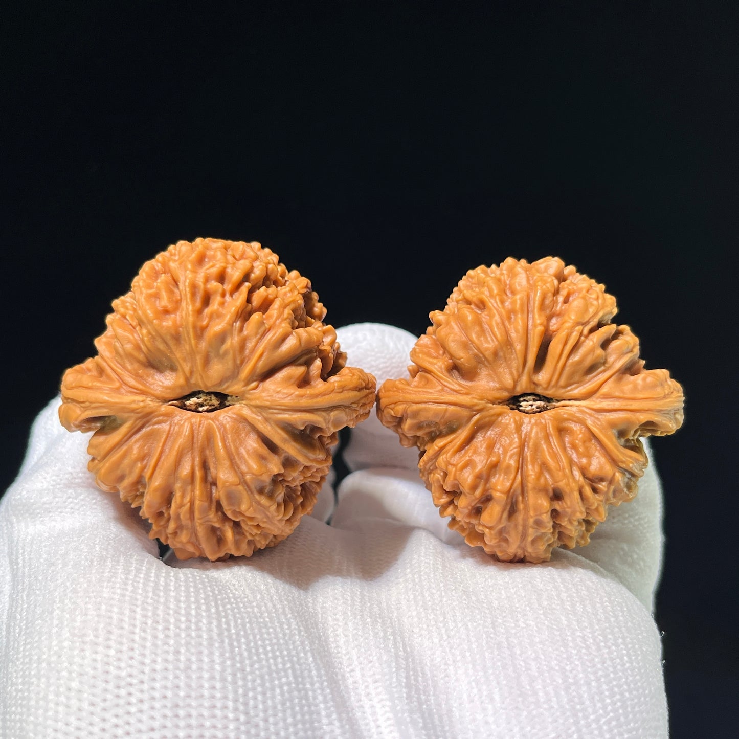 Walnut hand exercisers by ThePatinaProject, perfectly balanced NJS-1001C pair, 45mm x 45mm, boutique grade, ergonomic design.