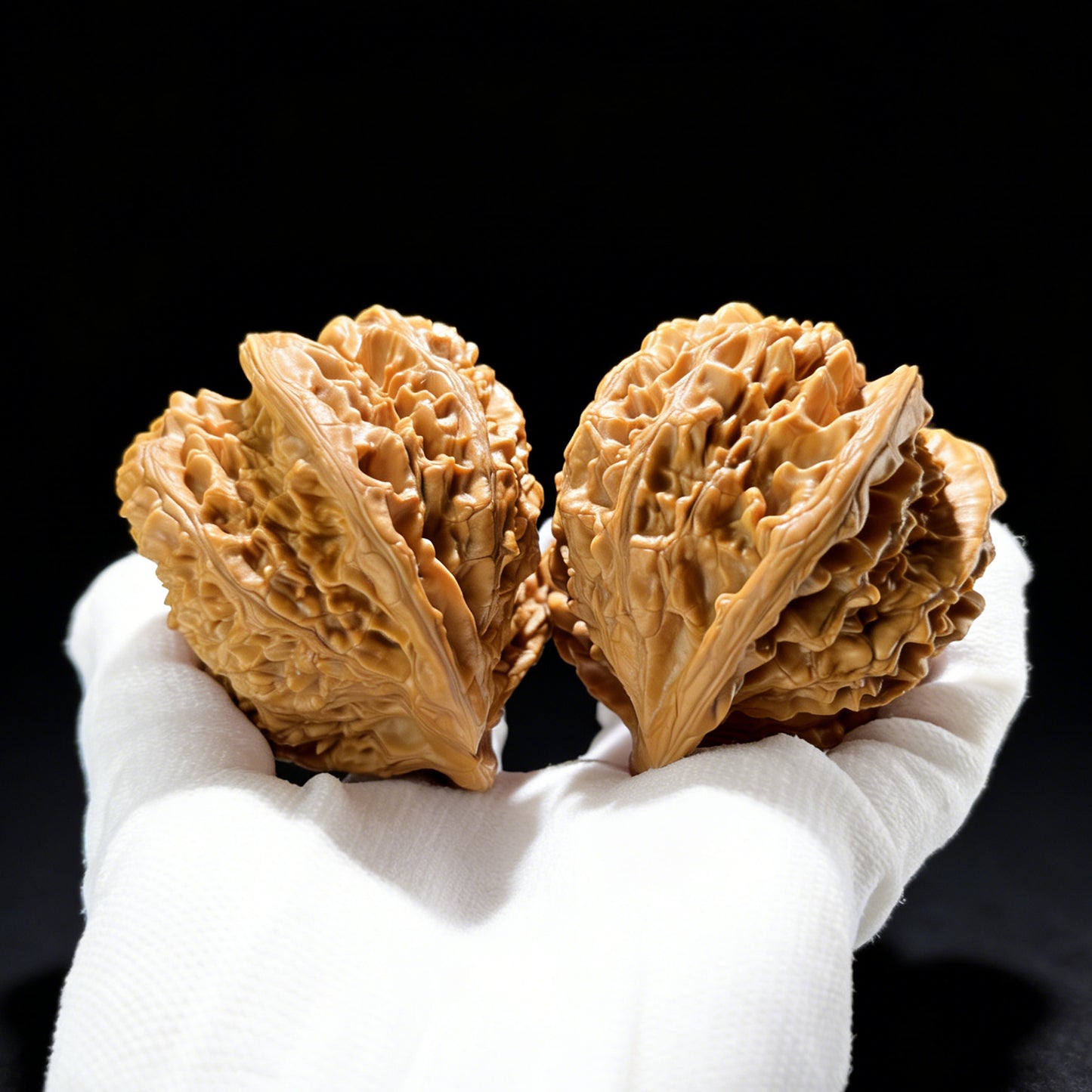 The Colossal "Official's Hat Horseshoe" Conjoined Twin | Museum Grade | 65.0mm x 65.0mm x 48.0mm | DGMBTLT-1001E - ThePatinaProject
