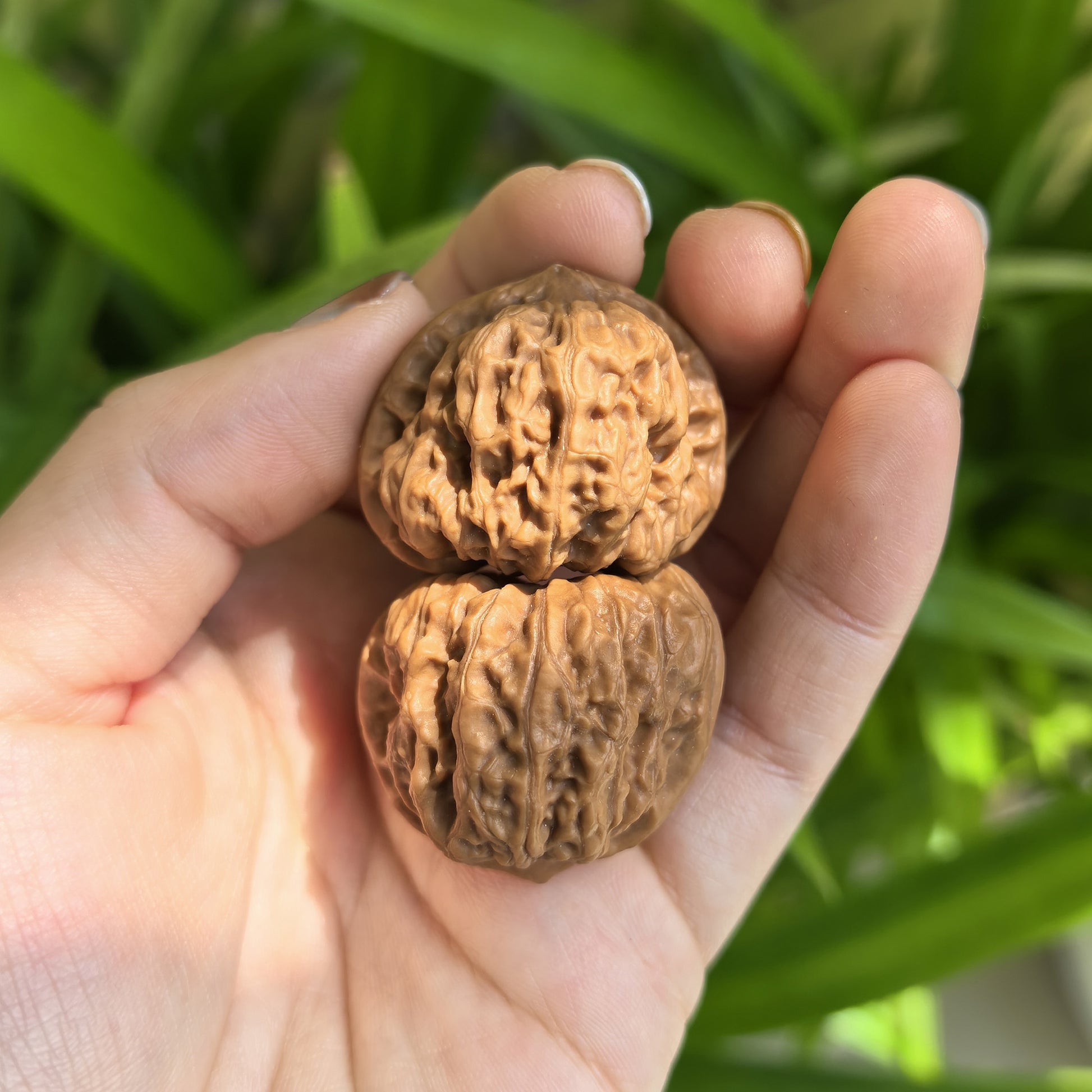 Walnut hand exercisers pair with "De Tou Gou" (Yuanbao) design, 32mm x 31mm, by ThePatinaProject, showing textured surface and craftsmanship.