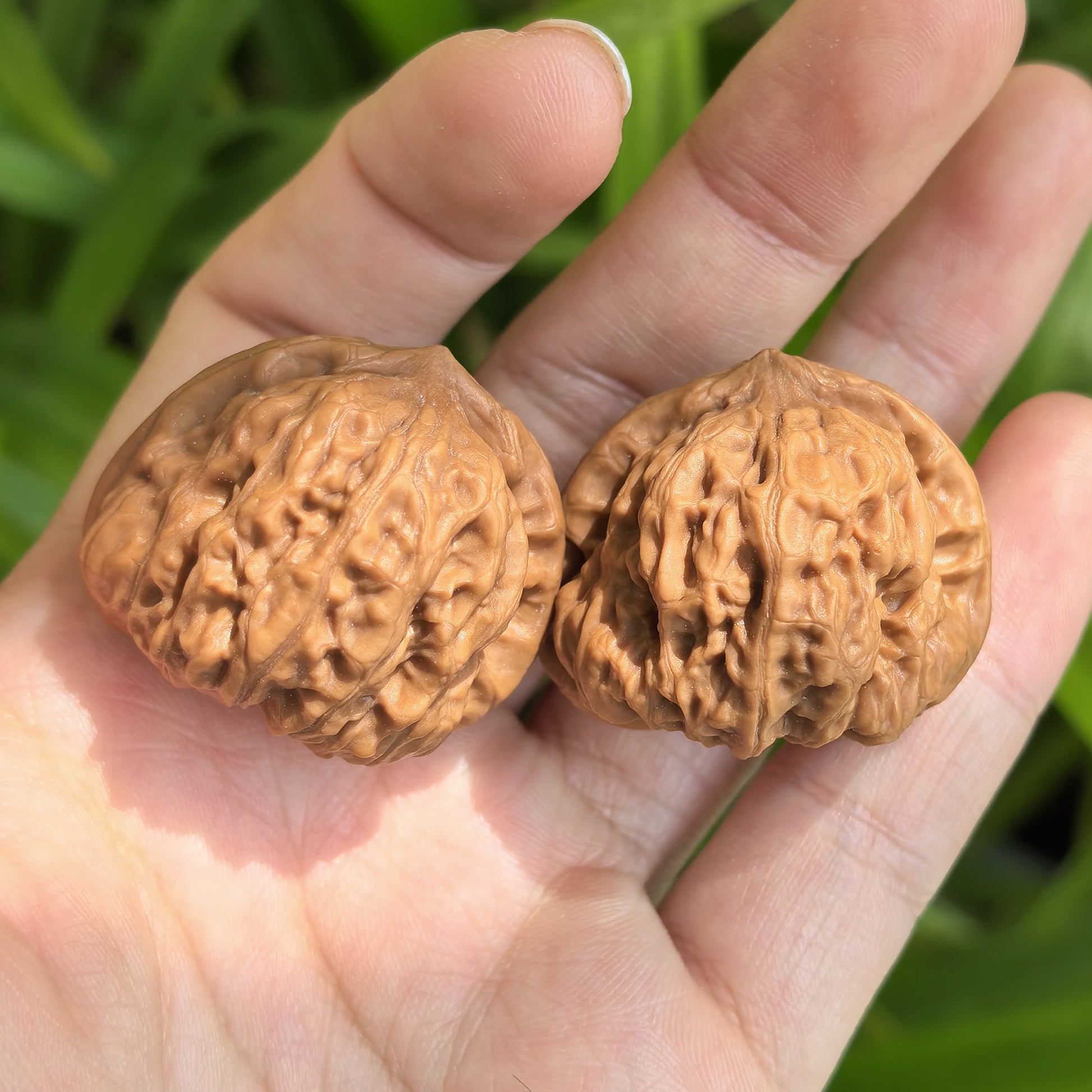 Walnut hand exercisers pair by ThePatinaProject, featuring "De Tou Gou" Yuanbao design, 32mm x 31mm, textured surface for grip.