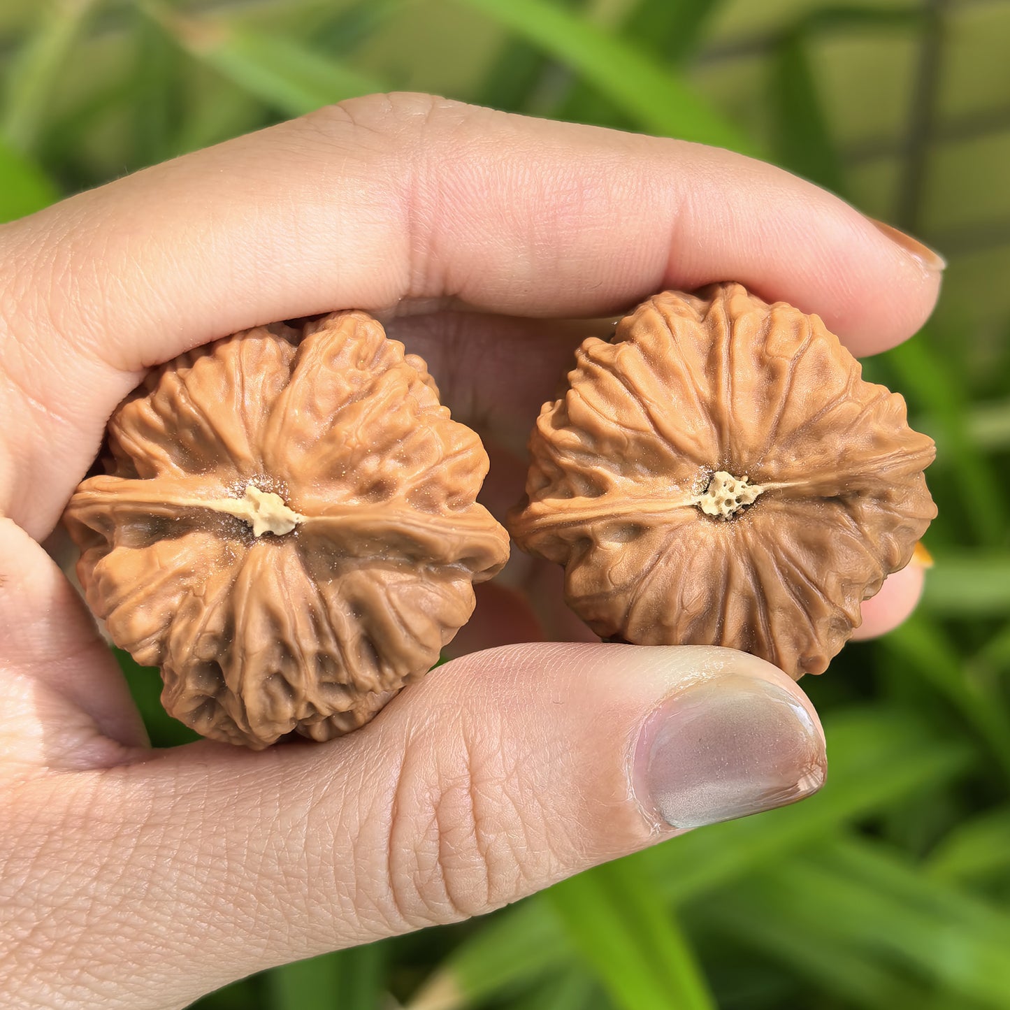 Walnut hand exercisers pair from ThePatinaProject, De Tou Gou Yuanbao design, 32mm by 31mm, for grip strength and hand therapy.