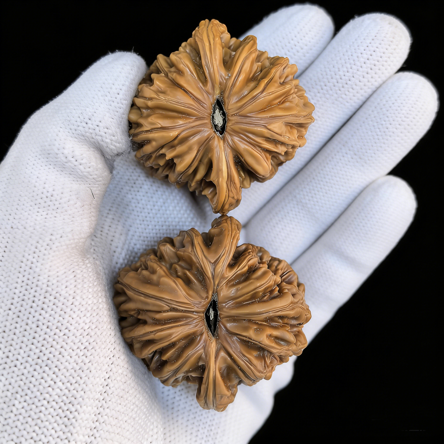 Walnut hand exerciser featuring The "Four Towers" Lion Head motif on a 39mm chrysanthemum base, by ThePatinaProject.