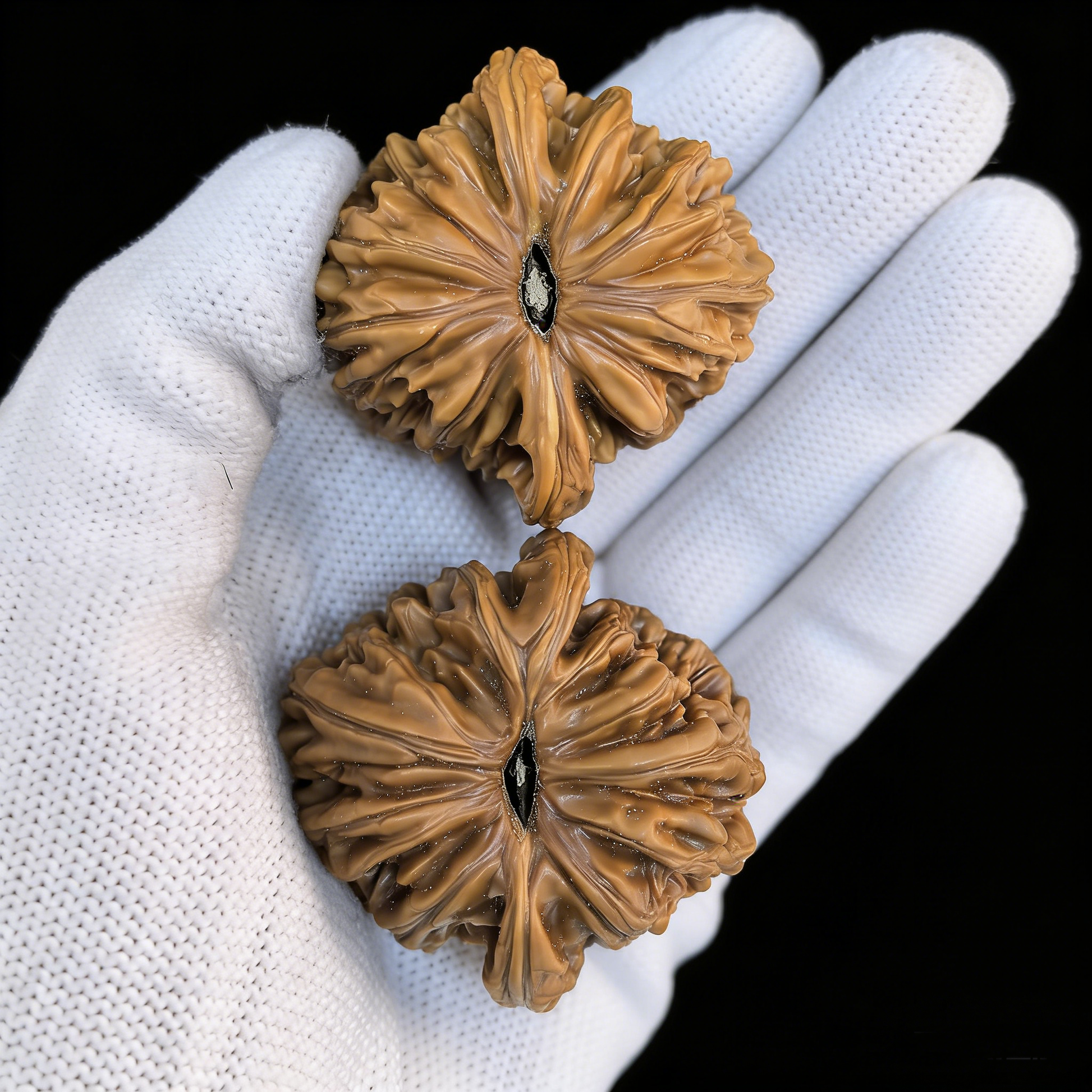 Walnut hand exerciser featuring The "Four Towers" Lion Head motif on a 39mm chrysanthemum base, by ThePatinaProject.