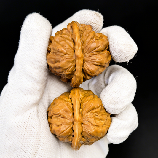 Golden Money Toad walnut hand exerciser pair, 40mm rare pictographic design from ThePatinaProject, shown in image 6.