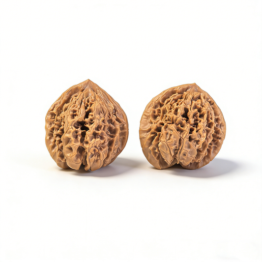 Walnut hand exerciser from ThePatinaProject featuring classic high-pile ridges and broad base, 41mm collector's pair.