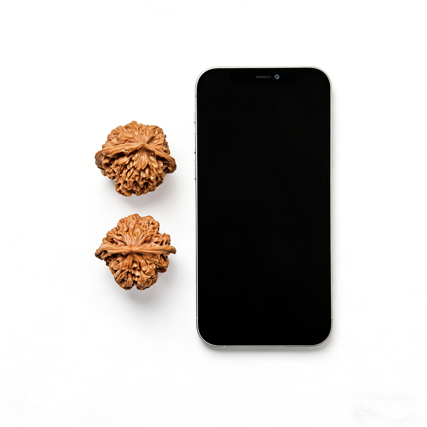 Walnut hand exercisers with ridged design and broad base, part of ThePatinaProject Imperial Official’s Hat collector’s pair.