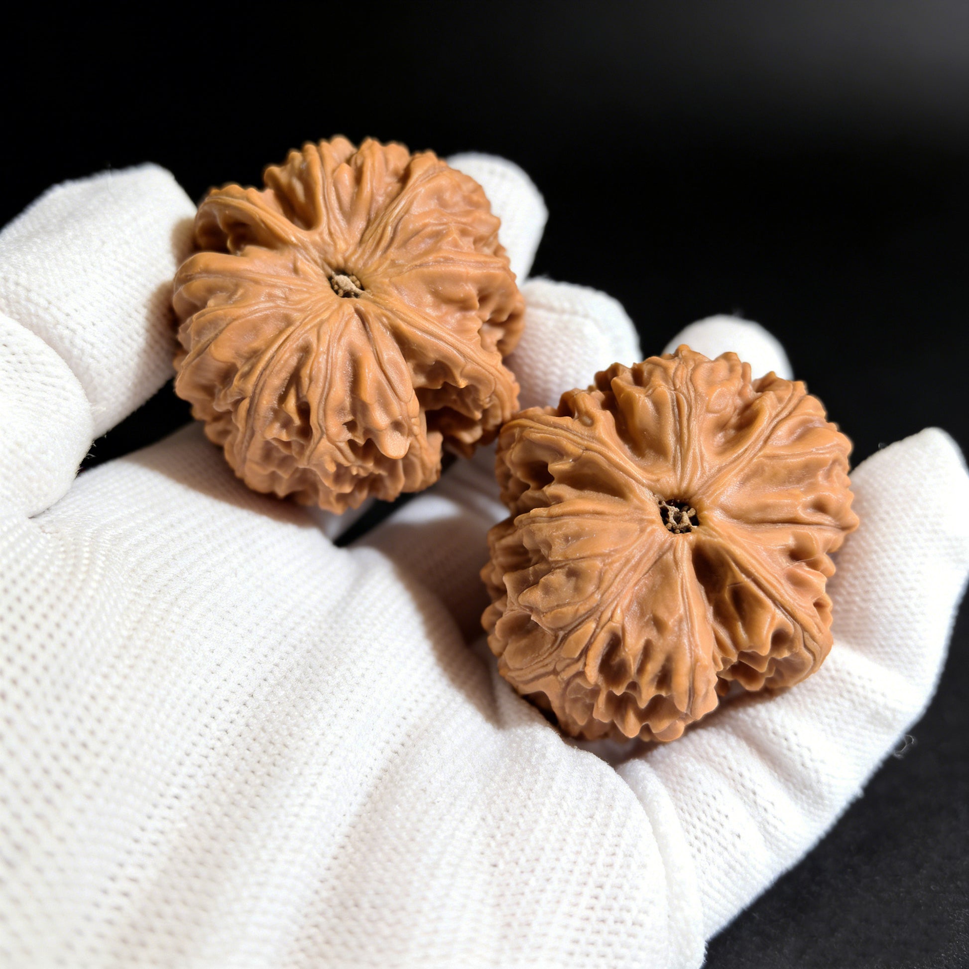 Walnut hand exercisers for grip strength, "Jade Dragon" pair by ThePatinaProject, 38mm diameter, WH-01 model.