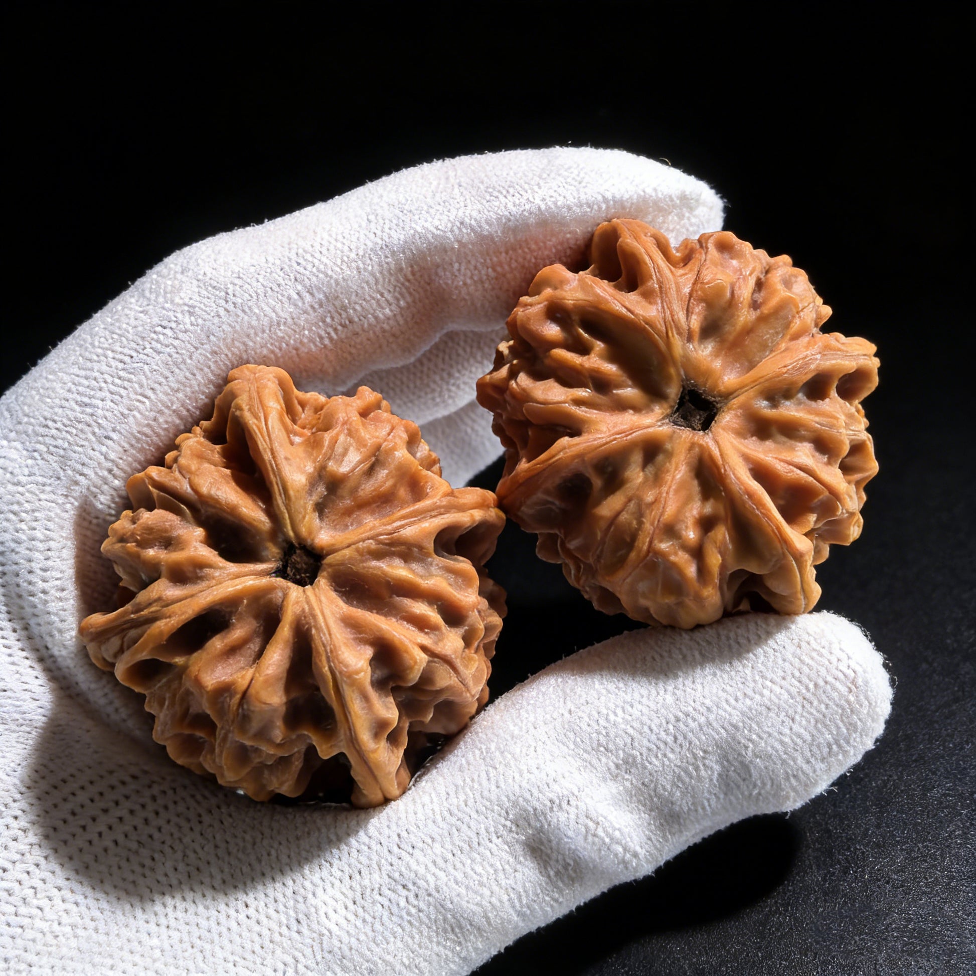 Pair of walnut hand exercisers with four ridges called Jade Seal, 43mm by 38mm, from ThePatinaProject's Collection Grade.