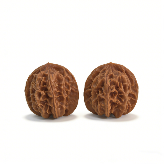 Walnut hand exercisers featuring the Jade Seal lion head sculpture, majestic imperial design, 36mm collector’s pair by ThePatinaProject.