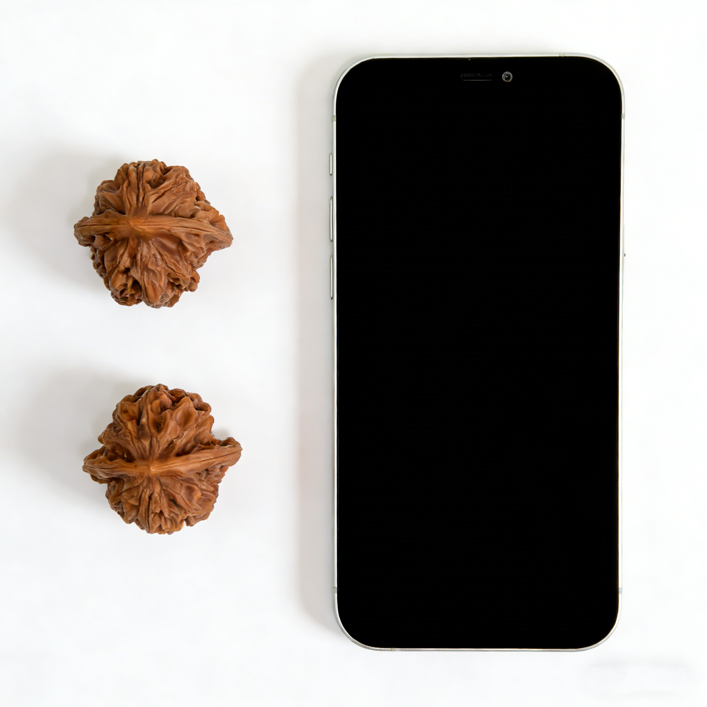 Pair of walnut hand exercisers shaped like lion heads called Jade Seal with majestic imperial build, 36mm size, by ThePatinaProject