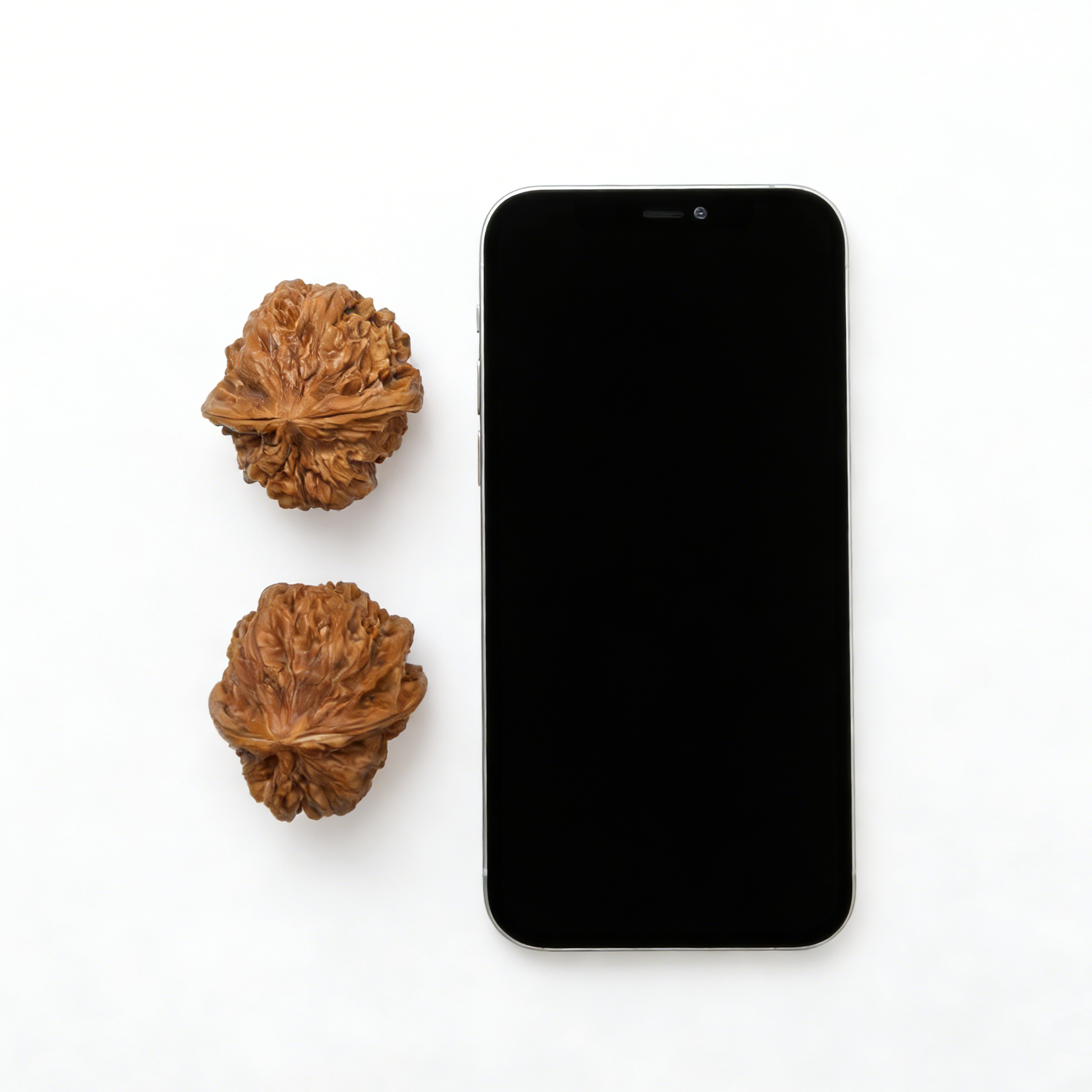 Pair of Jiu Long Yu Walnut Hand Exercisers by ThePatinaProject, 40mm size, featuring natural walnut wood with carved dragon designs.