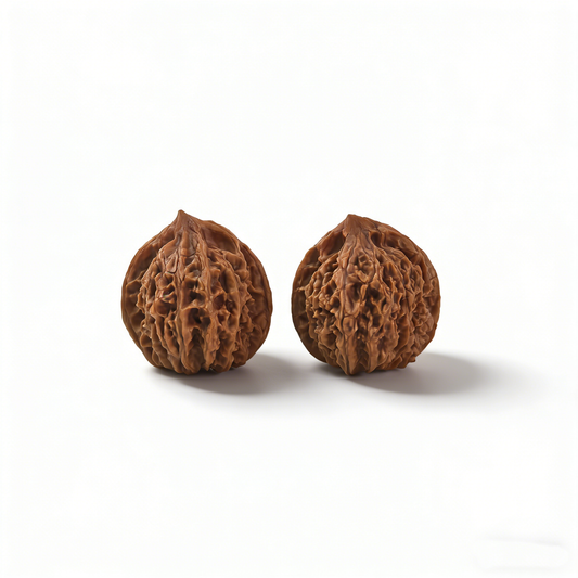 Deep-ribbed walnut hand exerciser with lion-head design, part of ThePatinaProject Lantern collection, 36mm collector’s pair image