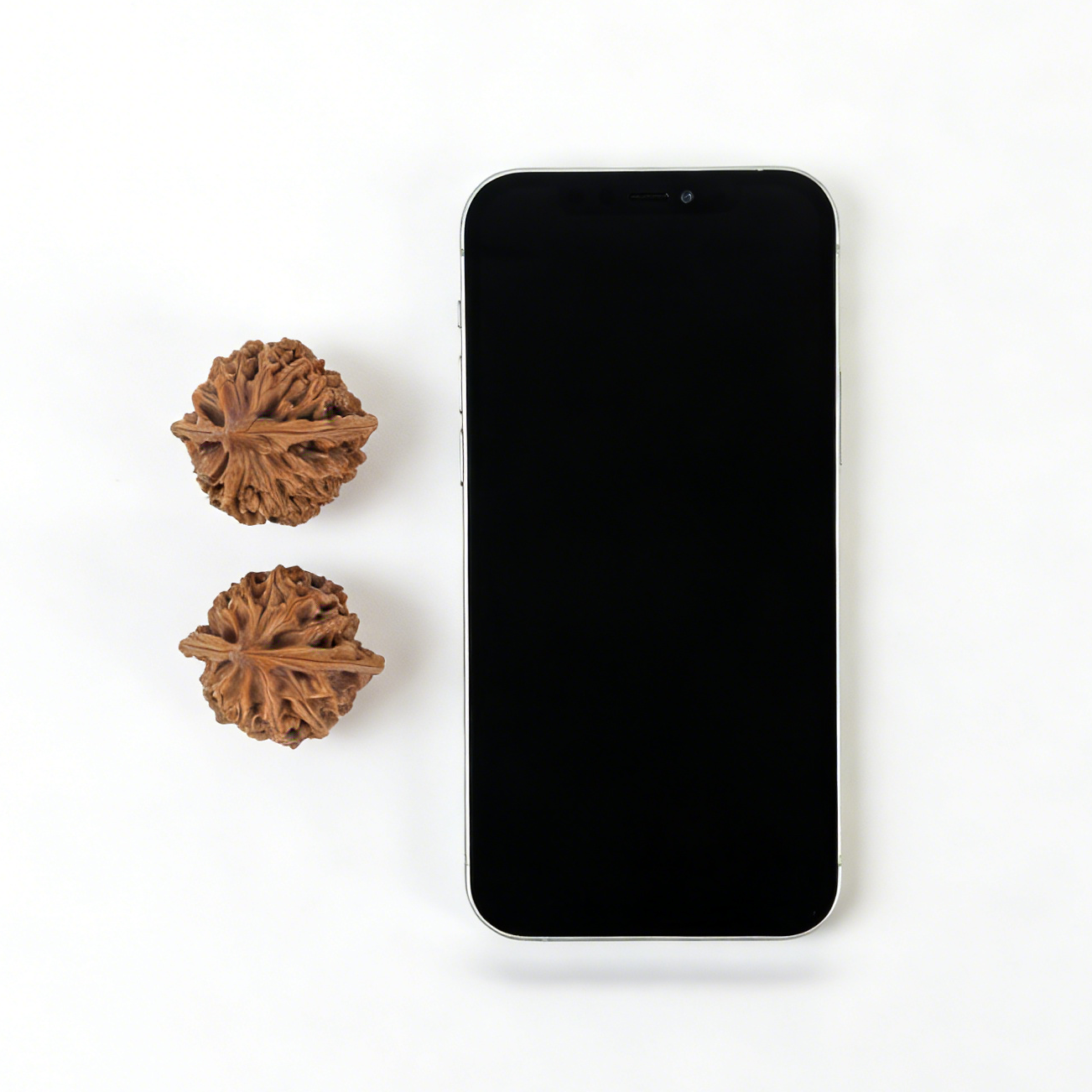 Pair of Walnut Hand Exercisers with deep ribs and lion-head design, featuring the Lantern (Deng Long) motif, 36mm collector’s set.