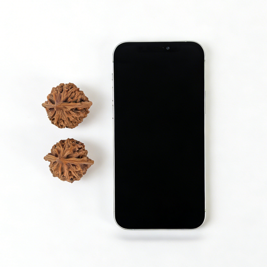 Pair of Walnut Hand Exercisers with deep ribs and lion-head design, featuring the Lantern (Deng Long) motif, 36mm collector’s set.