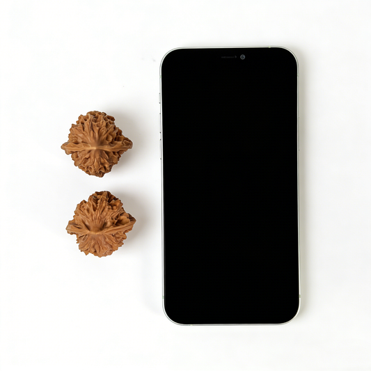 Pair of white walnut hand exercisers from ThePatinaProject, 34mm Ling Long Walnut Hand Exercisers for grip strength training.