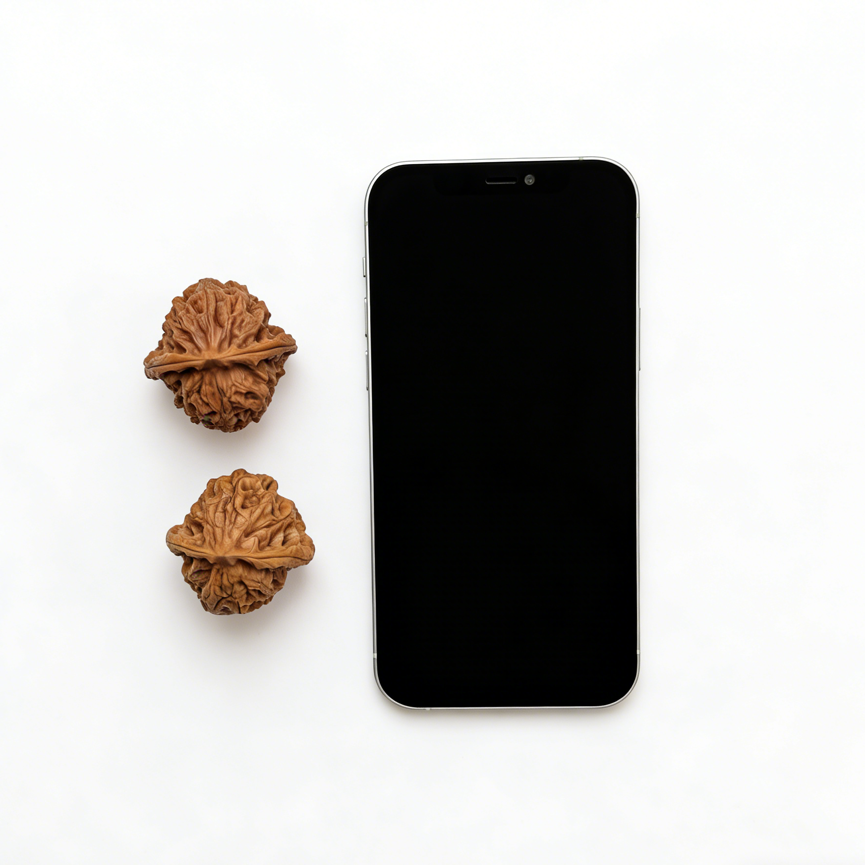 Pair of white snake valley walnut hand exercisers from ThePatinaProject, each 36mm, featuring smooth wooden texture and ergonomic shape.