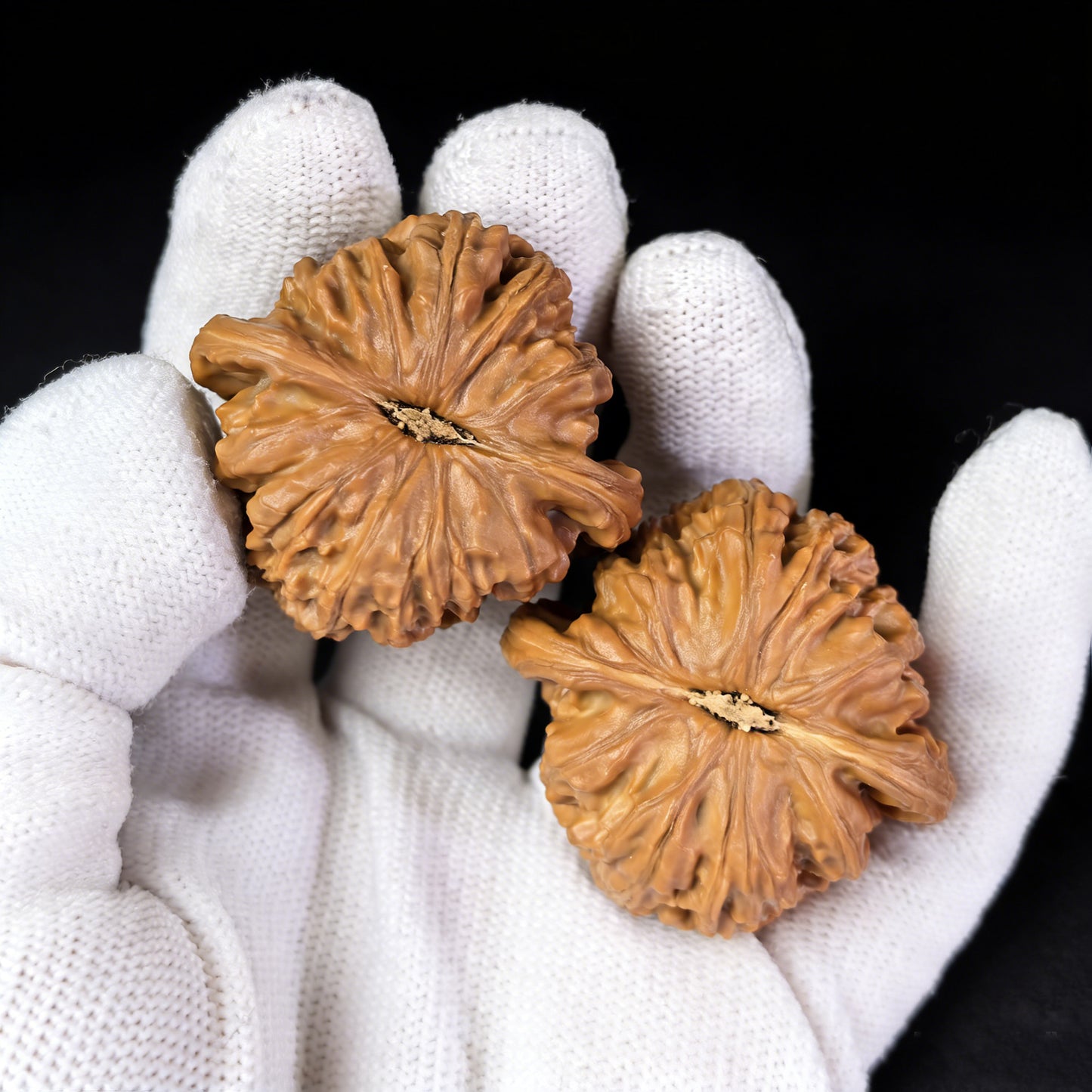 Boutique grade Walnut Lion Head (Shi Zi Tou) pair hand exercisers by ThePatinaProject, 39mm x 38mm, featuring detailed lion head design.