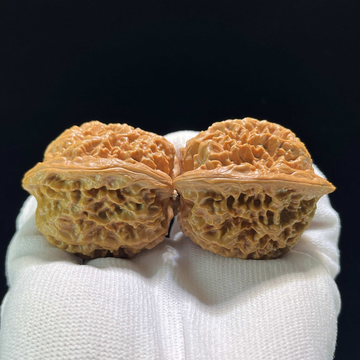 The Massive "Gecko x Arhat Head" Tian Can Jiao Hybrid Pair | 44.0mm x 41.0mm | BHLHT-707