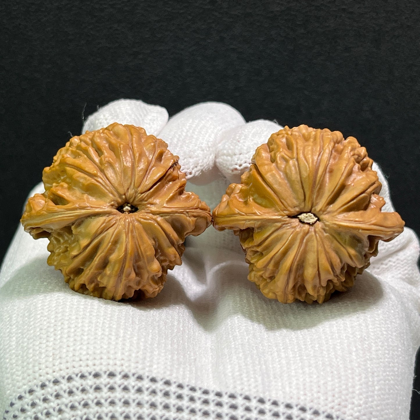 Pair of Walnut Hand Exercisers called the Millstone (Mo Pan) by ThePatinaProject, measuring 36mm by 34mm, for grip strength training