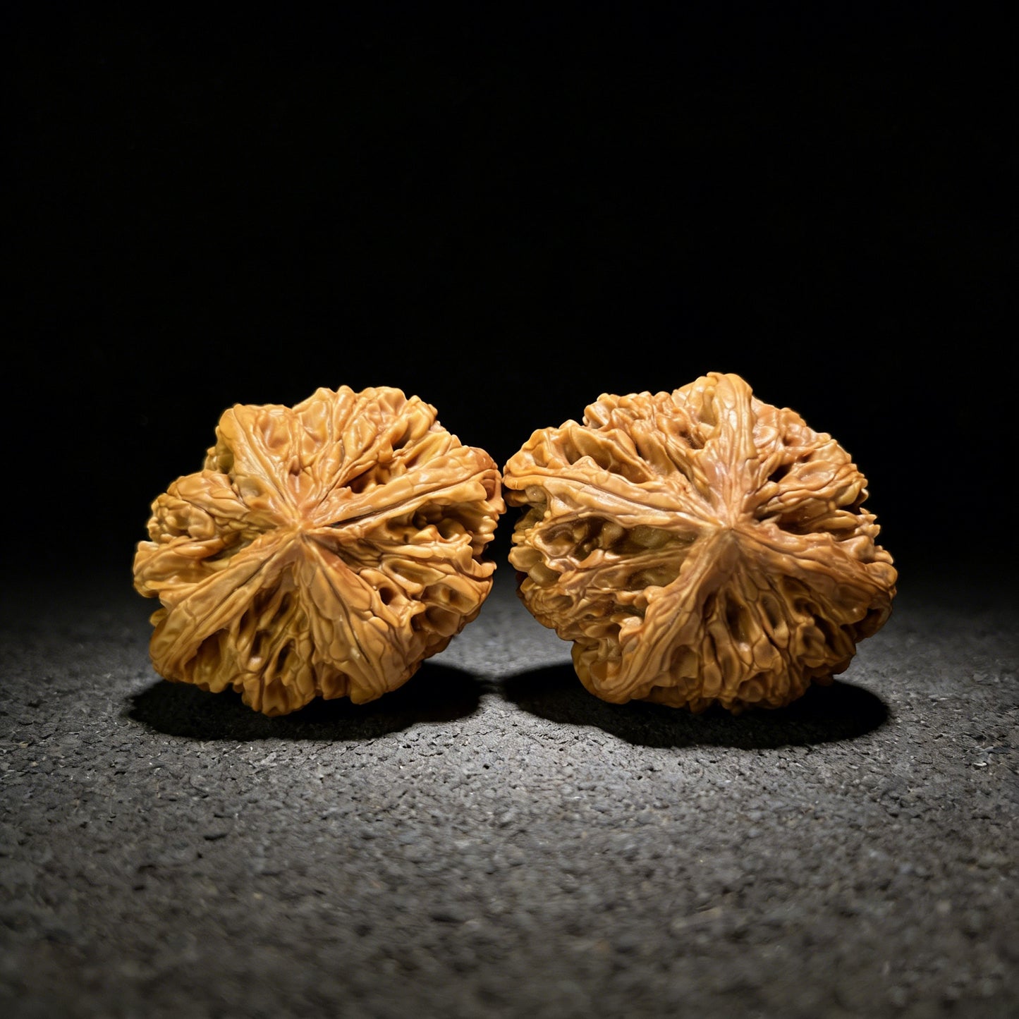 The Mythical "Nine Dragons Ridge" (Jiu Long Jin) Quad-Ridge Pair | Collector Grade | 42.0mm x 52.0mm