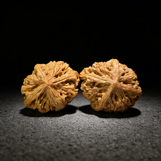 The Mythical "Nine Dragons Ridge" (Jiu Long Jin) Quad-Ridge Pair | Collector Grade | 42.0mm x 52.0mm