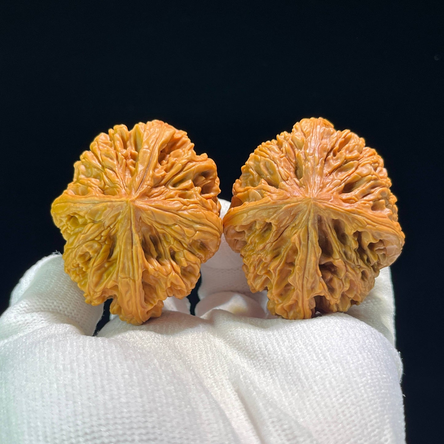 The Mythical "Nine Dragons Ridge" (Jiu Long Jin) Quad-Ridge Pair | Collector Grade | 42.0mm x 52.0mm